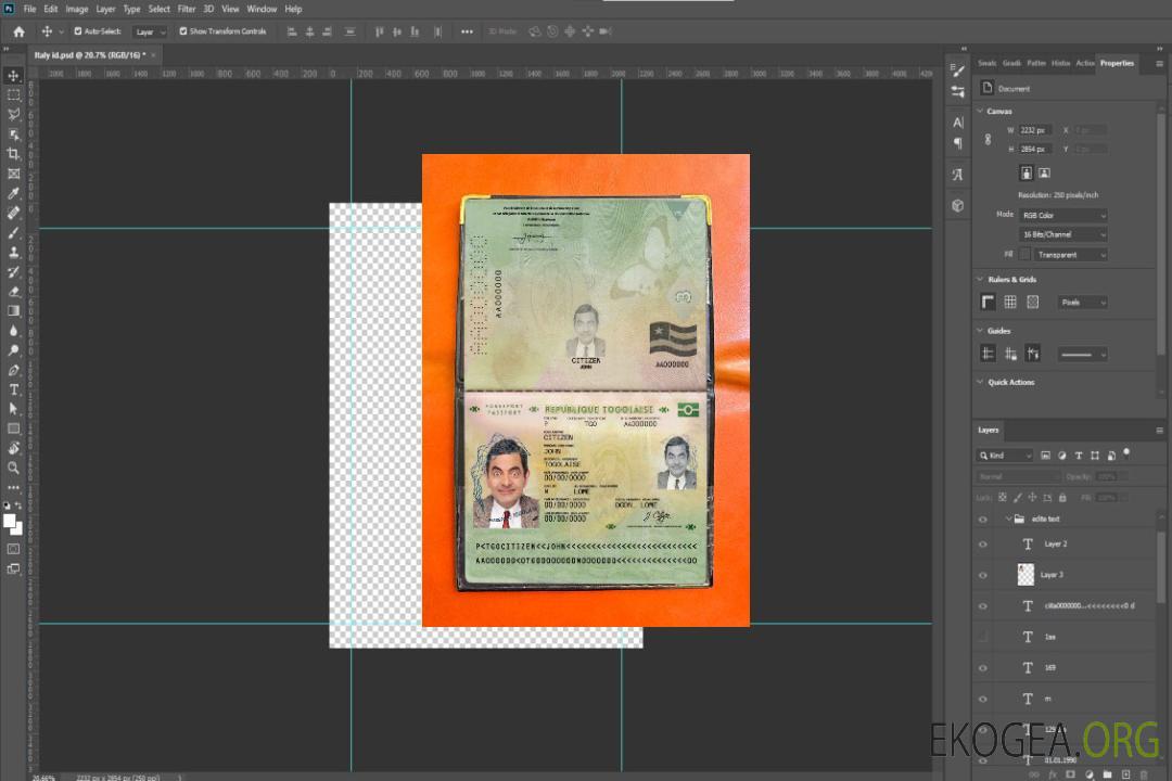 Look photo de passeport togolais template